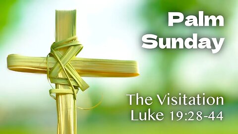 Palm Sunday - The Visitation, Luke 19:28-44