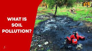 What Is Soil Pollution ?