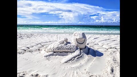 Sand-Lapse Happy Turtles!