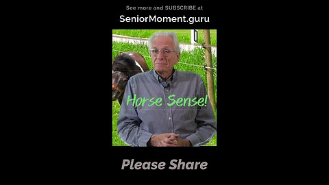 Horse Sense