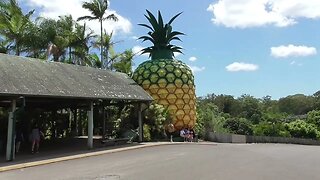 Big Pineapple. Sunshine Coast, Queensland.