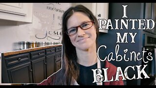 I Painted My Cabinets Black!?!?/ White & Black Farm House