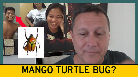 How To Remove a Mango Turtle Bug From Your Ear In The Philippines