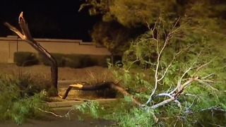 Wind wreaks havoc across Las Vegas valley