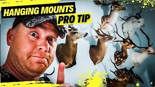 THE BEST and EASIEST Way to Hang a Deer Mount 🦌🦌🦌