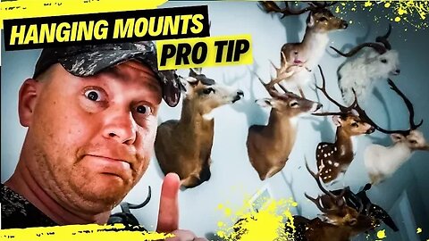 THE BEST and EASIEST Way to Hang a Deer Mount 🦌🦌🦌