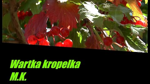 Wartka kropelka