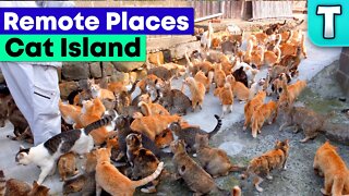 Remote Places Ep.2 | Cat Island