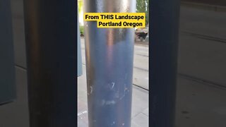 Shouldn't it read "Ten Toes UNDER The Pavement?" | From THIS Landscape | Portland Oregon (SUBSCRIBE)