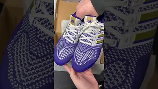 10 Days of UltraBoosts: Day 10 UDub Washington