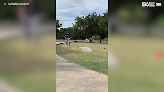 Man fails bicycle jump in style