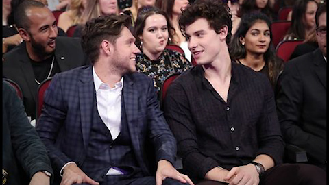 Shawn Mendes and Niall Horan Put Girl Problems Aside and Focus On Collaborating For New Music