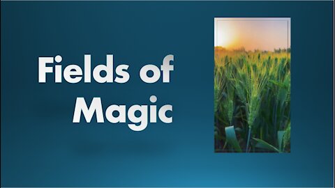 Fields of Magic