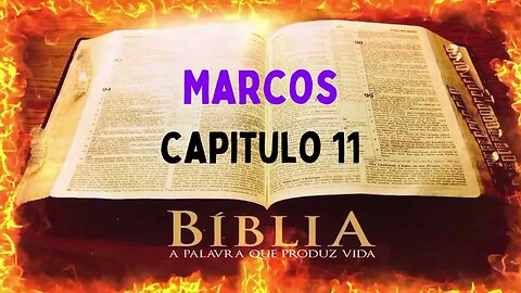 Bíblia Sagrada Marcos CAP 11