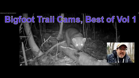 My Bigfoot Story Ep. 104 - Bigfoot Trail Cams Best Of Vol 1