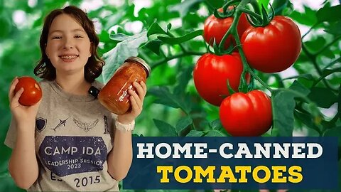 How to Can Tomatoes! | Every Bit Counts Challenge Day 20