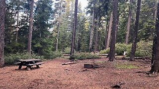 TOP 5 COUNTDOWN OF "BEST ONE-PARTY CAMPSITES" @ Clear Lake Campground! | Mount Hood | Oregon | 4K