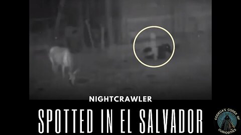 Terrifying NightCrawler Spotted in El Salvadorian