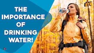 What Is The Importance of Hydration? :) :)