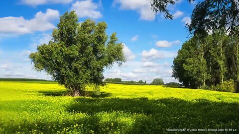 How to Paint Green Summer Trees with Acrylics