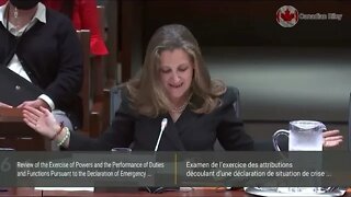 Parliamentary Committee on the Declaration of Emergency – Freeland, Blair, Dept of Finance, Branch