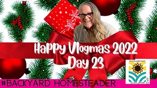 Happy Vlogmas 2022 | Day 23 | Mail Call | Merry Christmas