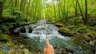 Trout Fishing a Small Creek || Relaxing in the Mountains (Tenkara)