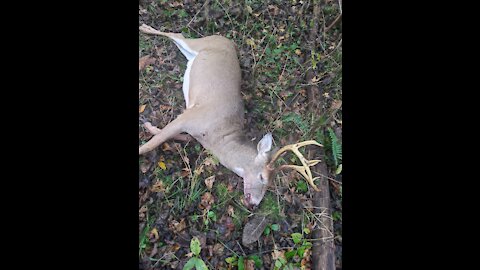 First public land hunt and buck