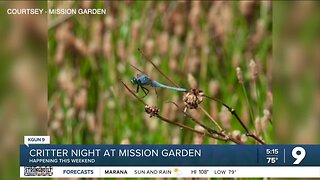 Critter Night at Mission Garden