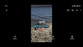 Odd Things at the Beach #shorts #viral #funny #trending