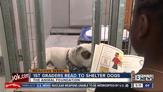 Kids read to dogs