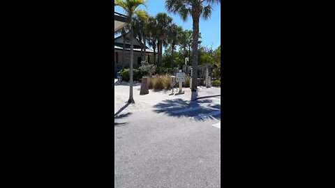 Tigertail Beach Walk Full Livestream Version.