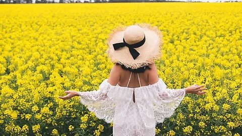 Saskatchewan Canola Fields