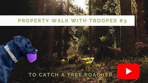 #3 Property walk with Trooper: Campsite maintenance