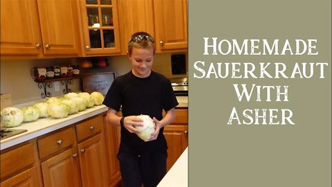 2 Gallons of Homemade Sauerkraut | Large Family Style | Free Recipe Download!