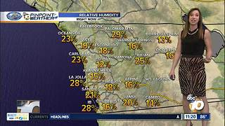 10News Pinpoint Weather with Meteorologist Megan Parry