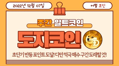 도지코인 전망 매수 포인트는? Dogecoin analysis|비트코인 실시간 생방송 12월7일 쩔코TV