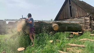 Sawing 6 meter oak into slabs