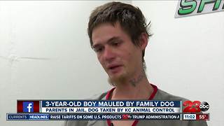 Father of child mauled by dog speaks out from jail