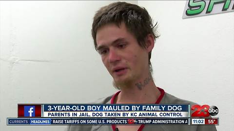 Father of child mauled by dog speaks out from jail