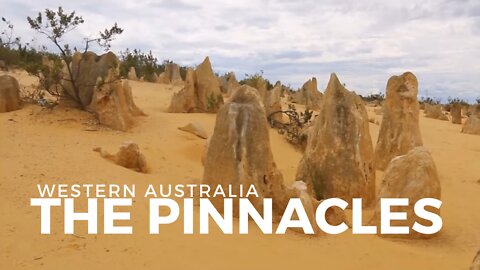 The Pinnacles Desert - Western Australia