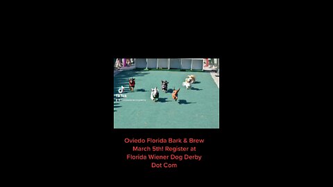 Oviedo bark & Brew 2022