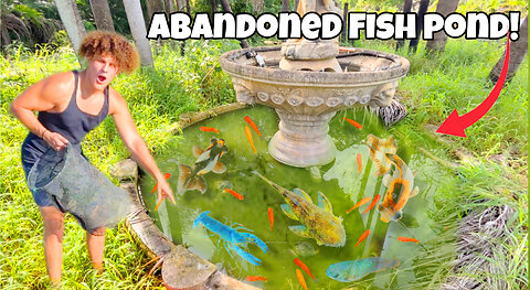 I Saved FISH From ABANDONED Fountain POOL!