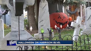 Trick or treaters line streets of Harrison Blvd