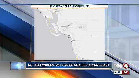 Red tide appears to be decreasing in Southwest Florida