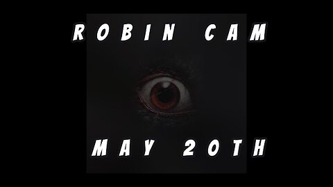 Robin Cam - May 20th. BC, Canada