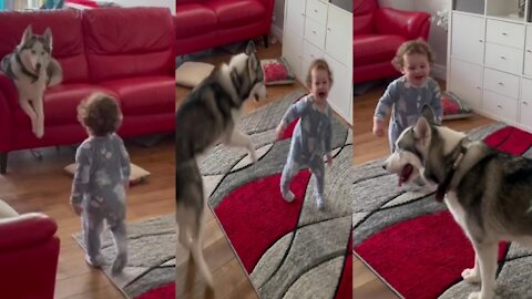 Baby has adorable reaction to new puppy addition With Dog So Sweet