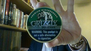 The Grizzly Wintergreen Pouches Review