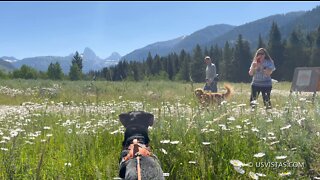 Teton Canyon [2022-07-10]