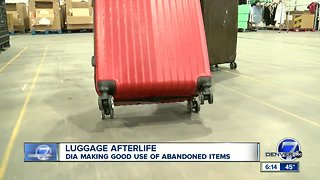 Where does all the abandoned luggage at DIA go?